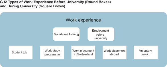 Enlarged view: types of work experience