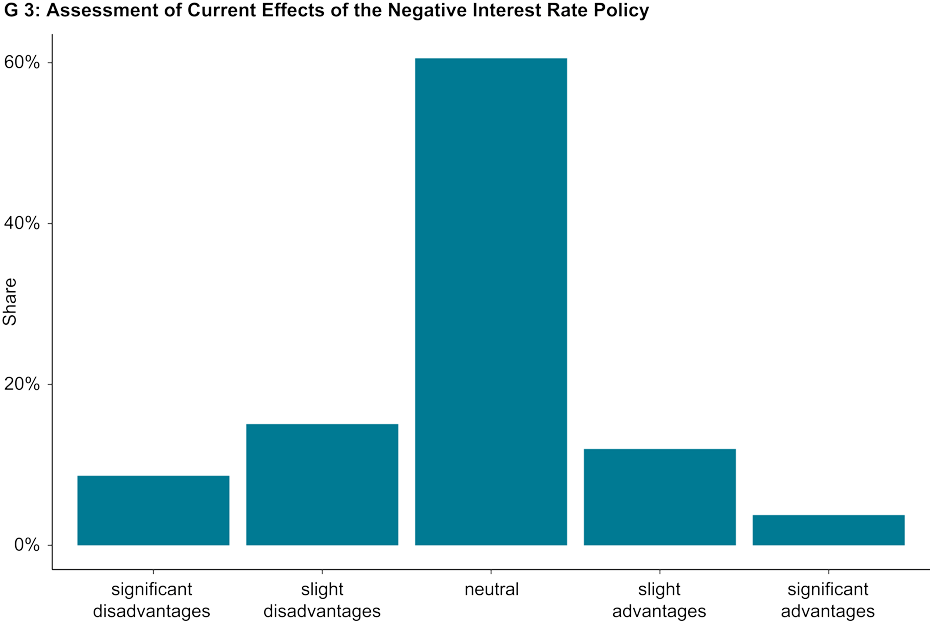 Enlarged view: Effects Negative Interest Rate Policy