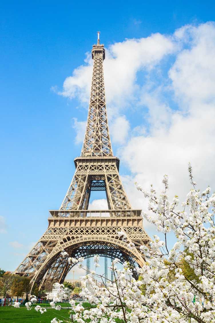 Enlarged view: The Eiffel Tower in Paris. Like other countries, France experienced a period of economic weakness.