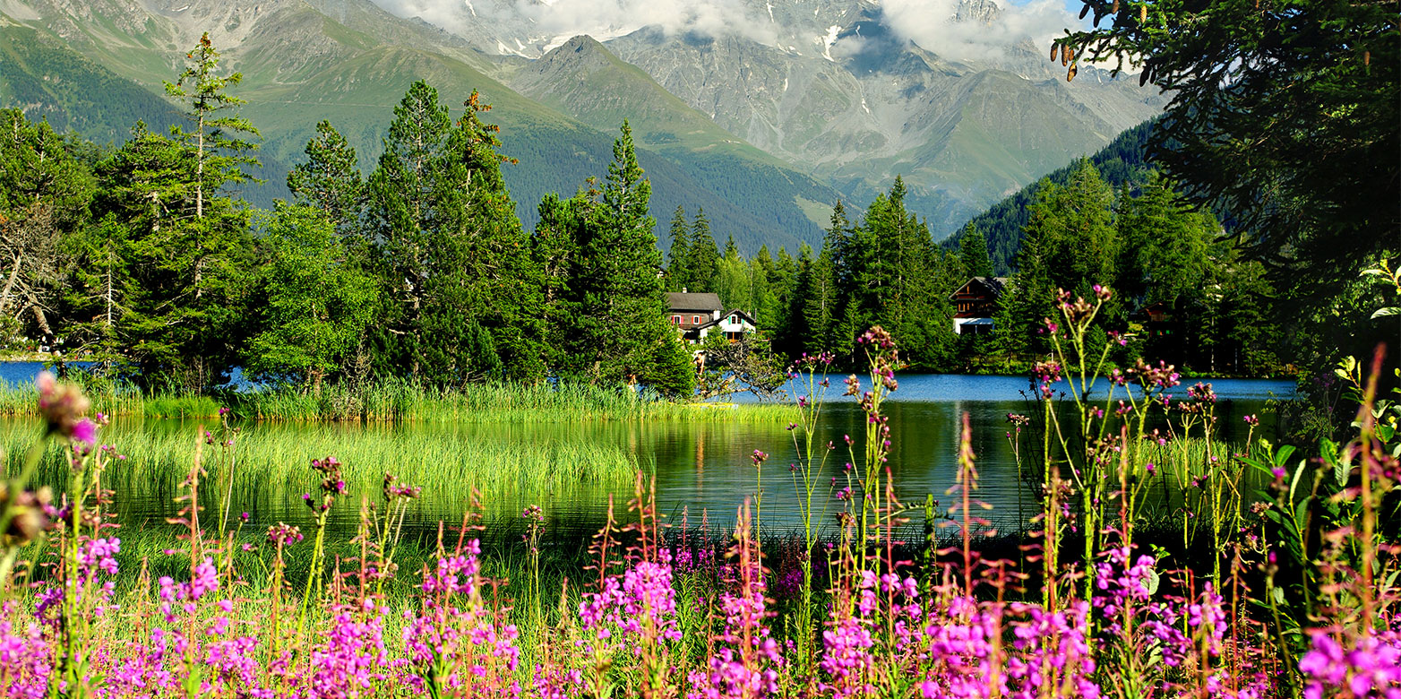 Champex