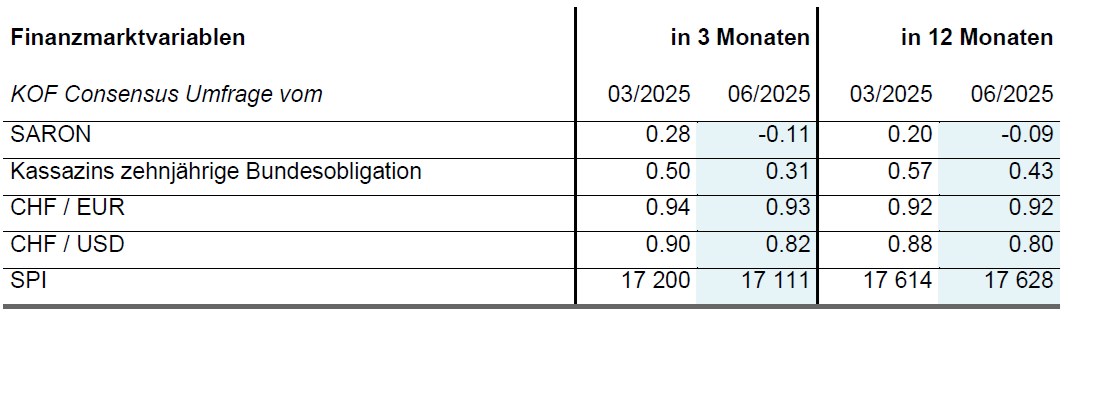 Vergrösserte Ansicht: Tabelle Finanzvariablen